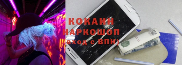 сатива Белокуриха