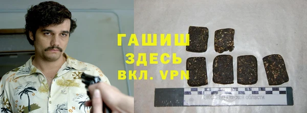 сатива Белокуриха