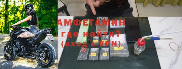 сатива Белокуриха