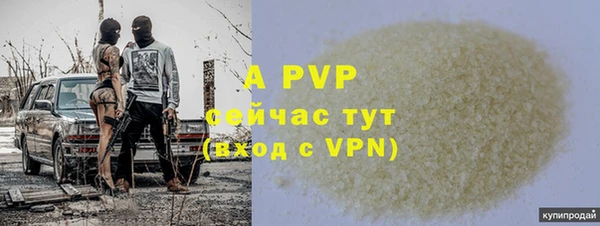сатива Белокуриха