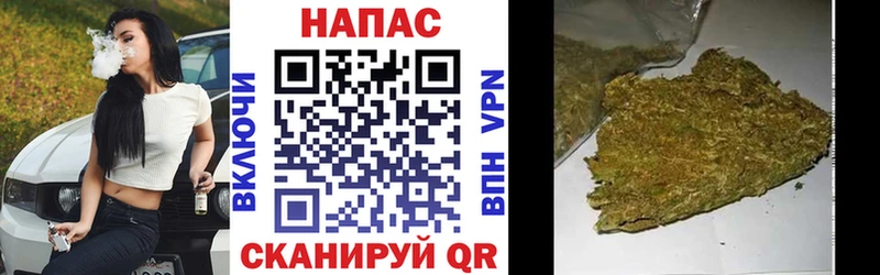 Конопля марихуана  Севск 